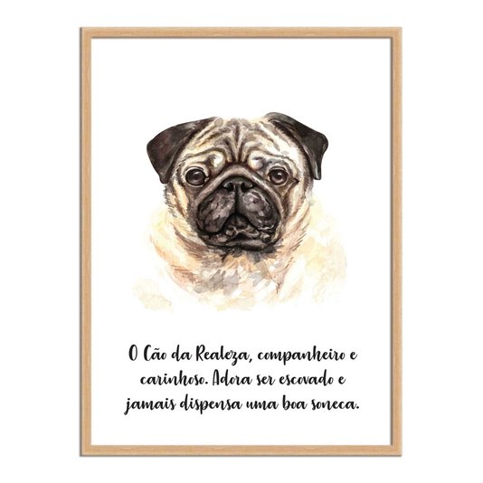 Quadro Decorativo Cachorro Pug Características da Raça