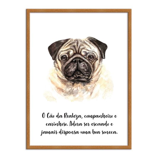 Quadro Decorativo Cachorro Pug Características da Raça