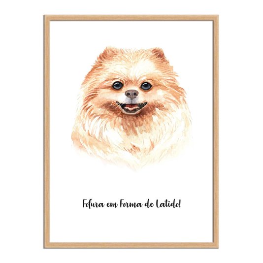 Quadro Decorativo Cachorro Spitz Alemão ou Lulu Da Pomerânia Caracaterísticas da Raça