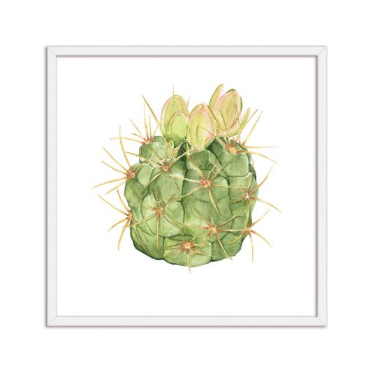 Quadro Decorativo Cacto Espinhoso Q3186_1