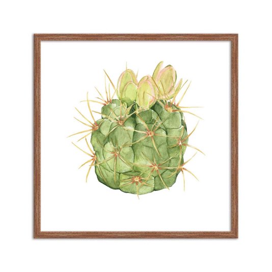 Quadro Decorativo Cacto Espinhoso Q3186_1