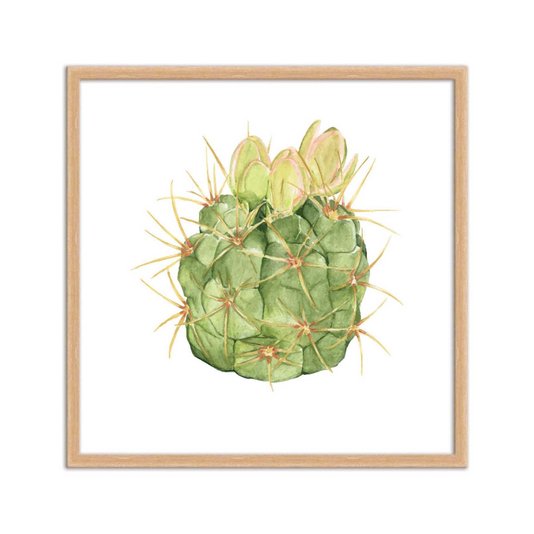 Quadro Decorativo Cacto Espinhoso Q3186_1
