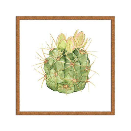 Quadro Decorativo Cacto Espinhoso Q3186_1