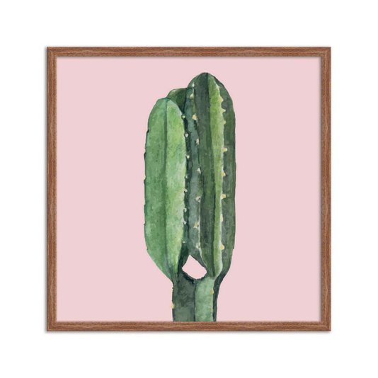 Quadro Decorativo Cactos Espinhosos Fundo Rosa - Q3195_1