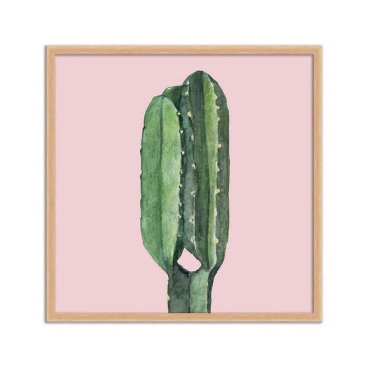 Quadro Decorativo Cactos Espinhosos Fundo Rosa - Q3195_1