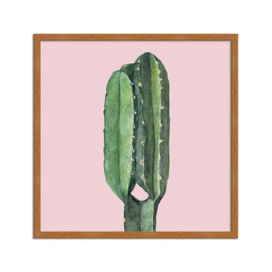 Quadro Decorativo Cactos Espinhosos Fundo Rosa - Q3195_1
