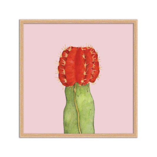 Quadro Decorativo Cactos Figueira da Índia Fundo Rosa Q3191_1