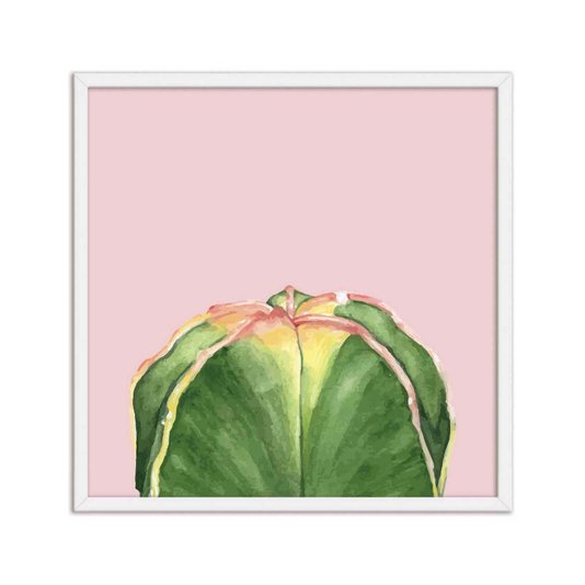 Quadro Decorativo Cactos Verde com Espinhos Fundo Rosa Q3193_1