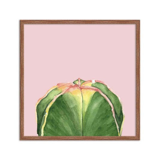 Quadro Decorativo Cactos Verde com Espinhos Fundo Rosa Q3193_1