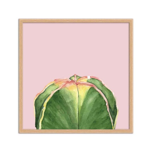 Quadro Decorativo Cactos Verde com Espinhos Fundo Rosa Q3193_1