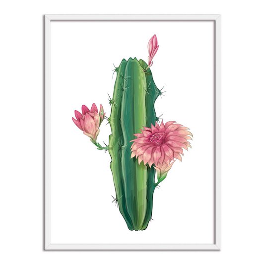 Quadro Decorativo Cactus com Flores