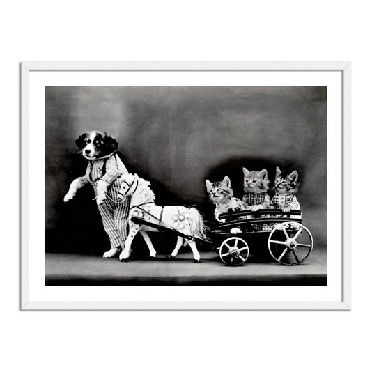 Quadro Decorativo Cão Carrocinha
