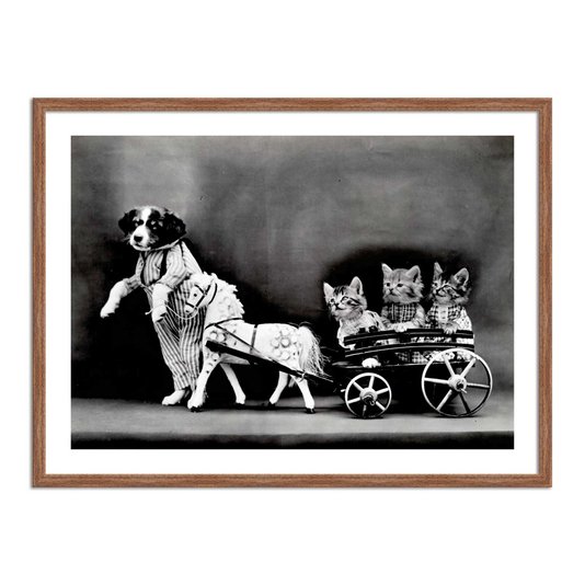 Quadro Decorativo Cão Carrocinha