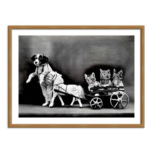Quadro Decorativo Cão Carrocinha