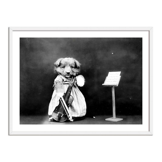 Quadro Decorativo Cão Violonista