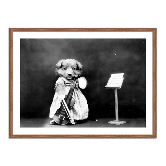 Quadro Decorativo Cão Violonista