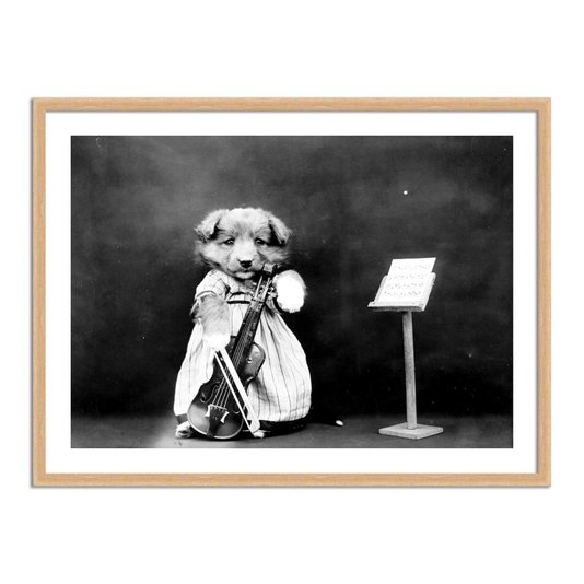 Quadro Decorativo Cão Violonista