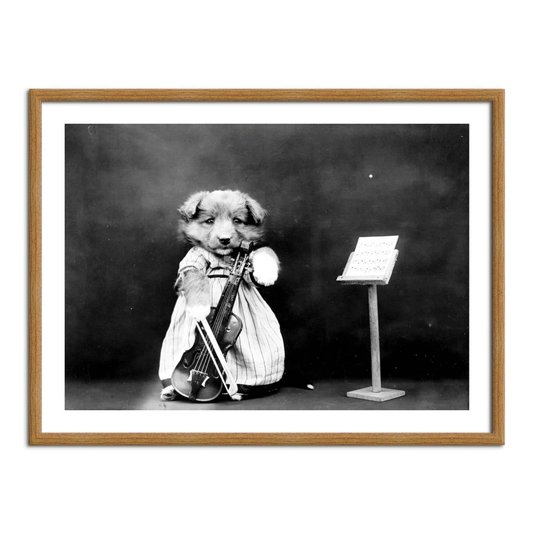 Quadro Decorativo Cão Violonista