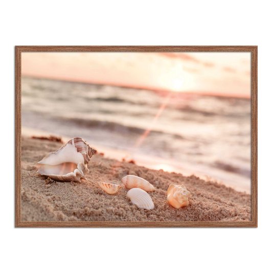 Quadro Decorativo  Coleção Mar Conchas