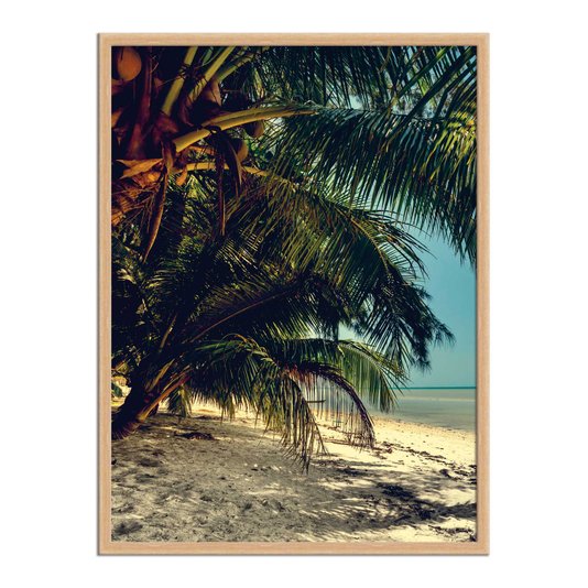 Quadro Decorativo  Coleção Mar Coqueiros