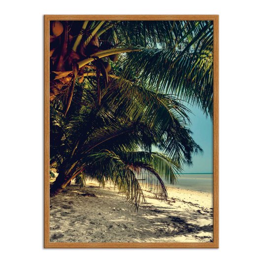 Quadro Decorativo  Coleção Mar Coqueiros