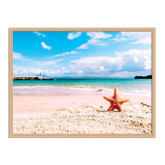 Quadro Decorativo  Coleção Mar Estrela Do Mar