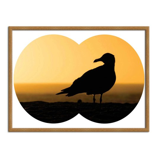 Quadro Decorativo  Coleção Mar Gaivota