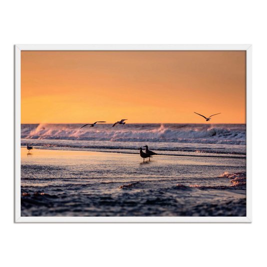 Quadro Decorativo  Coleção Mar Pássaros A Beira Mar