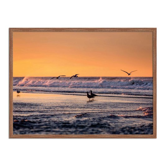 Quadro Decorativo  Coleção Mar Pássaros A Beira Mar