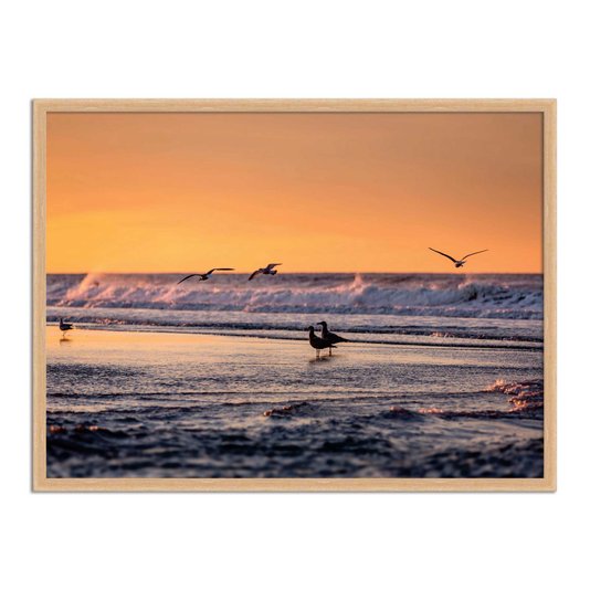 Quadro Decorativo  Coleção Mar Pássaros A Beira Mar