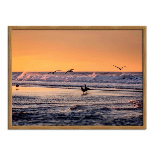Quadro Decorativo  Coleção Mar Pássaros A Beira Mar