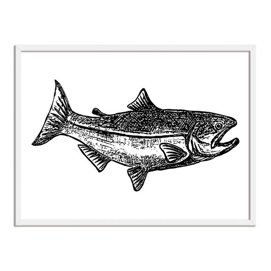 Quadro Decorativo  Coleção Mar Peixe