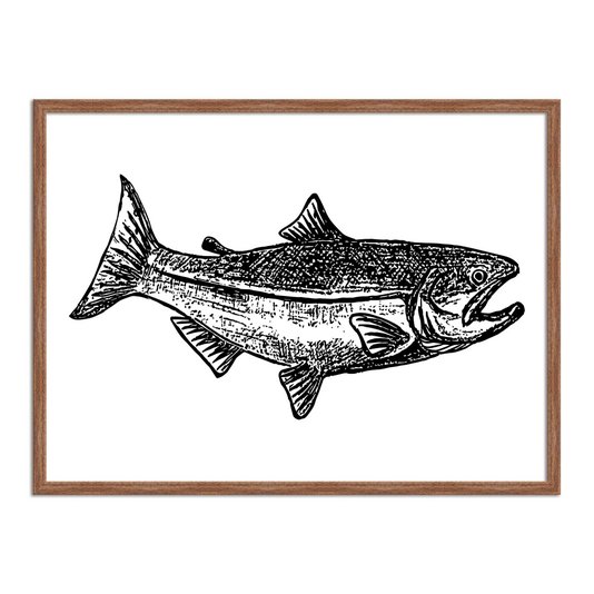 Quadro Decorativo  Coleção Mar Peixe
