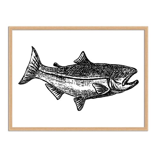 Quadro Decorativo  Coleção Mar Peixe