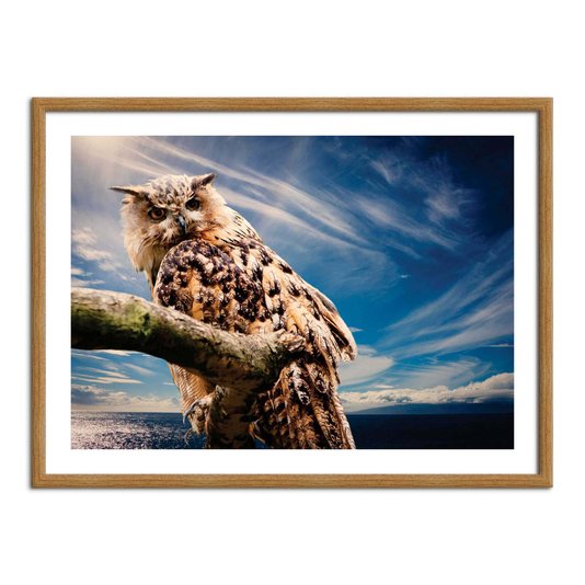 Quadro Decorativo Coruja