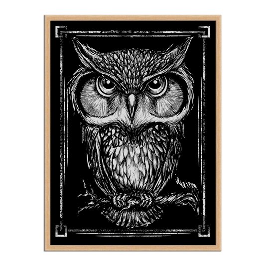 Quadro Decorativo Coruja