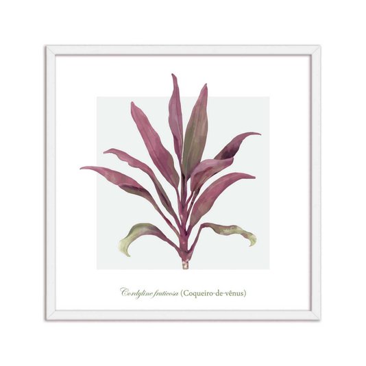 Quadro Decorativo de Folhagem Coqueiro-de-Vênus Q3171_1