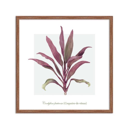 Quadro Decorativo de Folhagem Coqueiro-de-Vênus Q3171_1