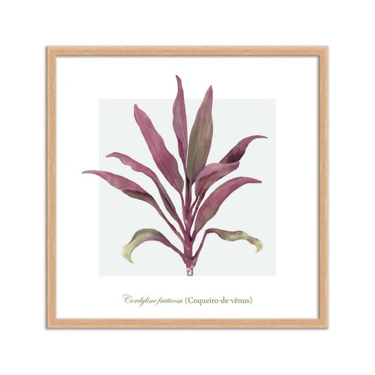 Quadro Decorativo de Folhagem Coqueiro-de-Vênus Q3171_1