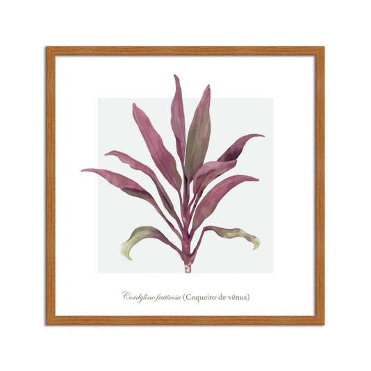Quadro Decorativo de Folhagem Coqueiro-de-Vênus Q3171_1