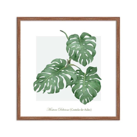 Quadro Decorativo de Folhagem Costela-de-Adão Q3174_1