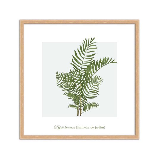 Quadro Decorativo de Folhagem Palmeira de jardim Q3173_1