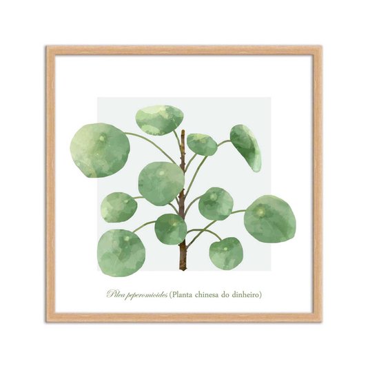 Quadro Decorativo de Folhagem Planta Chinesa do Dinheiro Q3176_1