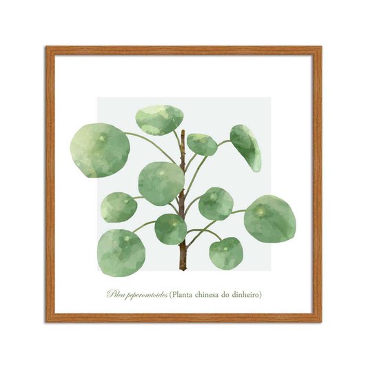 Quadro Decorativo de Folhagem Planta Chinesa do Dinheiro Q3176_1