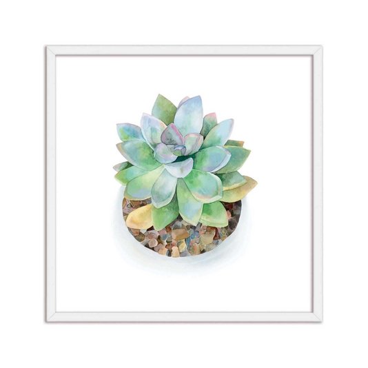 Quadro Decorativo de Mini Suculentas Verdes Watercolor Q3177_1