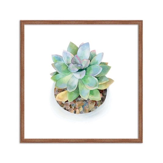 Quadro Decorativo de Mini Suculentas Verdes Watercolor Q3177_1