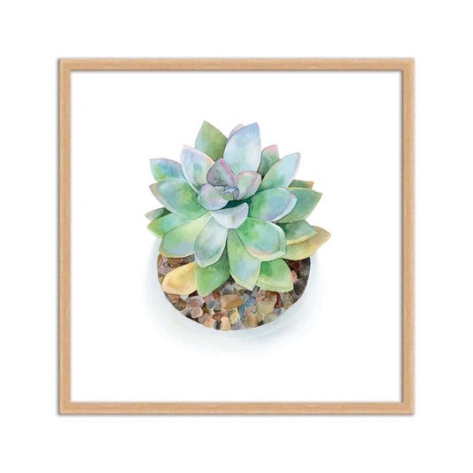 Quadro Decorativo de Mini Suculentas Verdes Watercolor Q3177_1