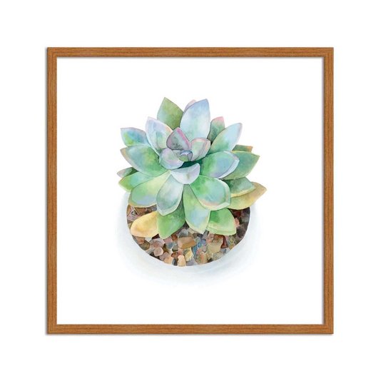 Quadro Decorativo de Mini Suculentas Verdes Watercolor Q3177_1