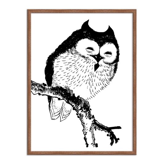 Quadro Decorativo Desenho de Uma Coruja