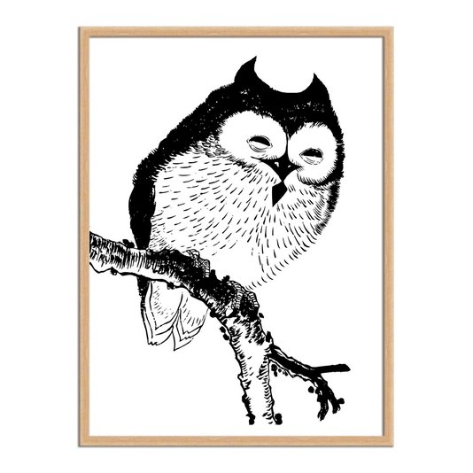 Quadro Decorativo Desenho de Uma Coruja